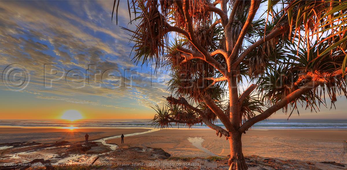 Peter Bellingham Photography Pandanus Sunrise - Fraser Island - QLD T (PB5D 00 51A1828)